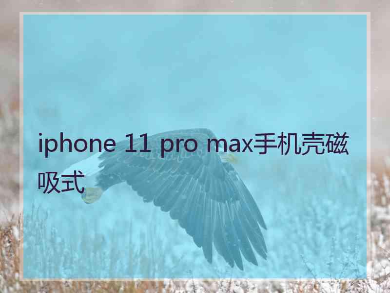 iphone 11 pro max手机壳磁吸式