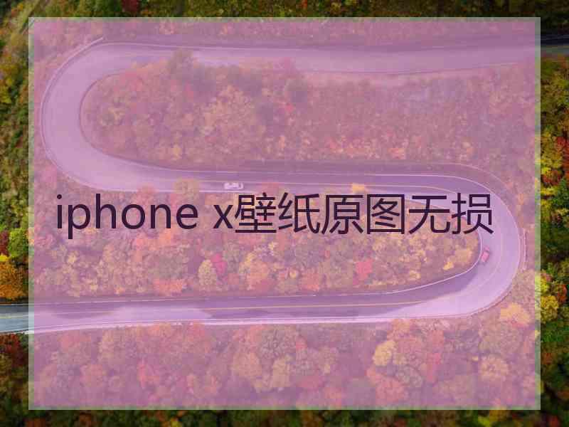 iphone x壁纸原图无损