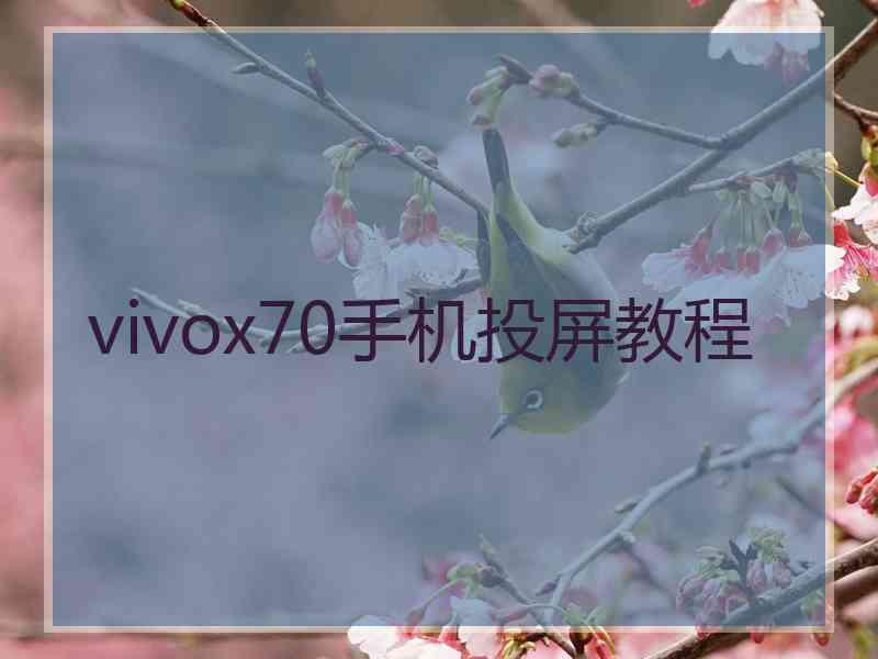 vivox70手机投屏教程