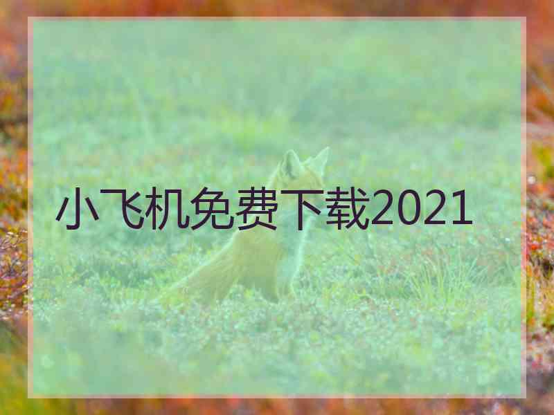 小飞机免费下载2021