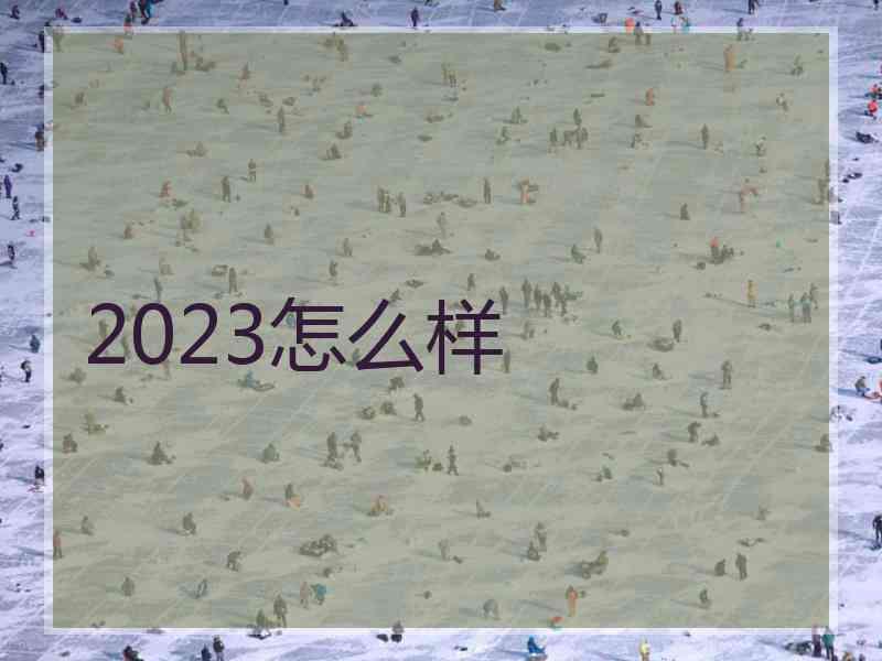 2023怎么样