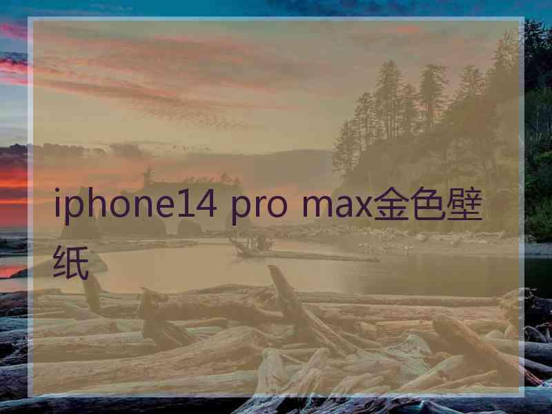 iphone14 pro max金色壁纸