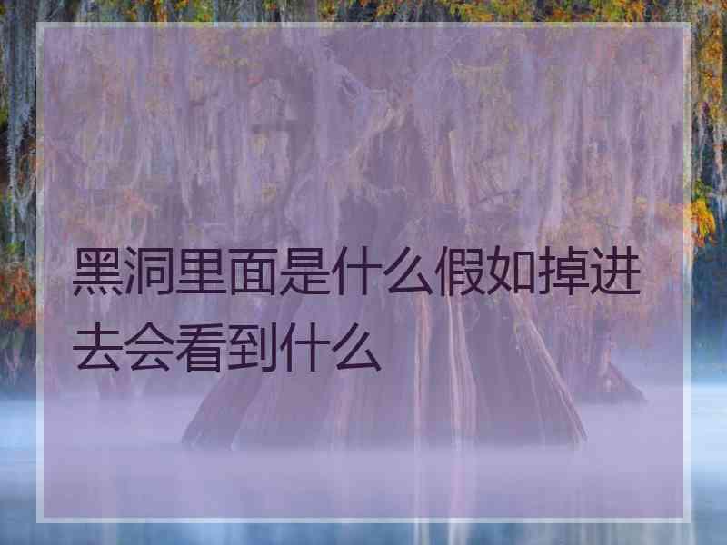 黑洞里面是什么假如掉进去会看到什么