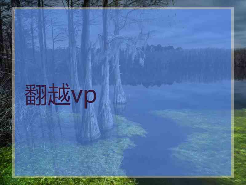 翻越vp