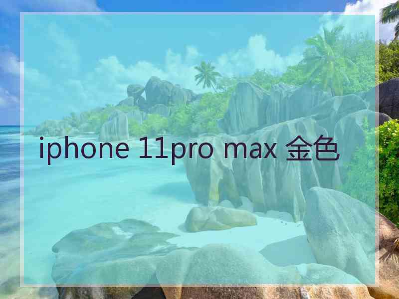 iphone 11pro max 金色