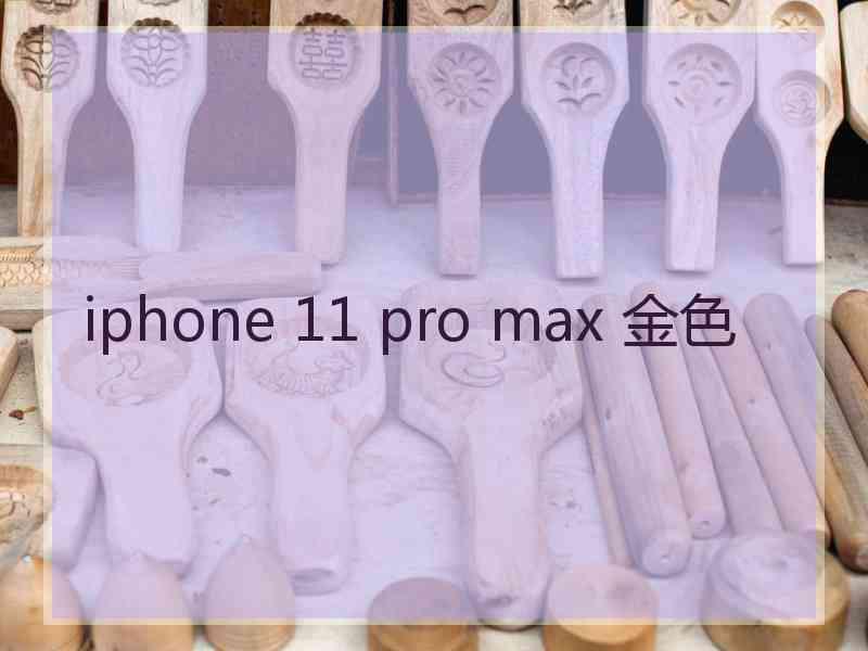 iphone 11 pro max 金色