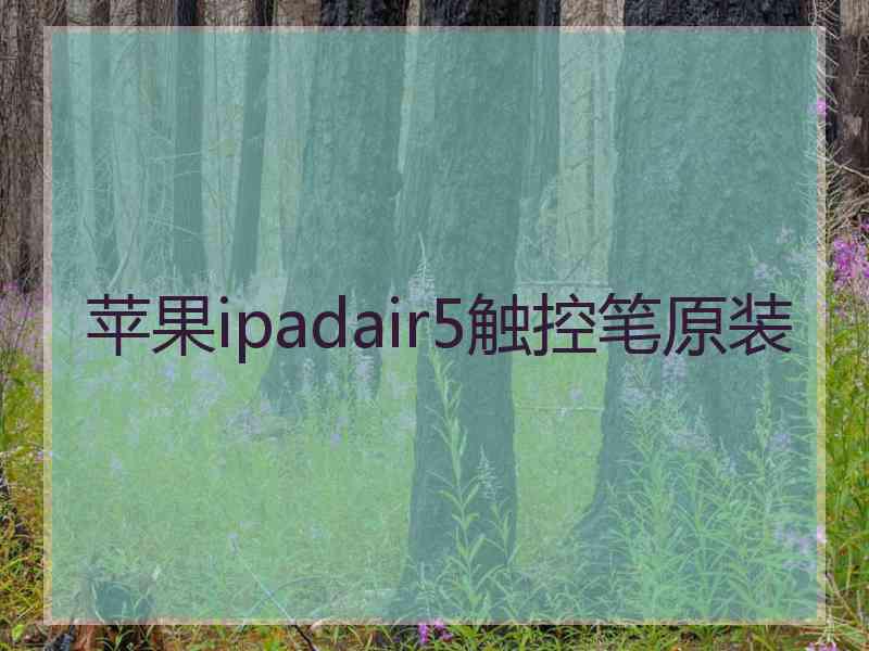 苹果ipadair5触控笔原装