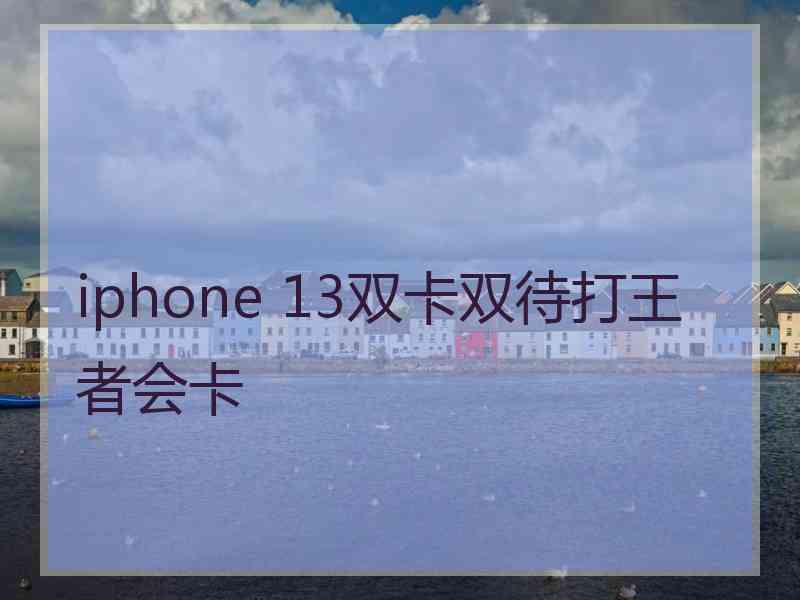 iphone 13双卡双待打王者会卡