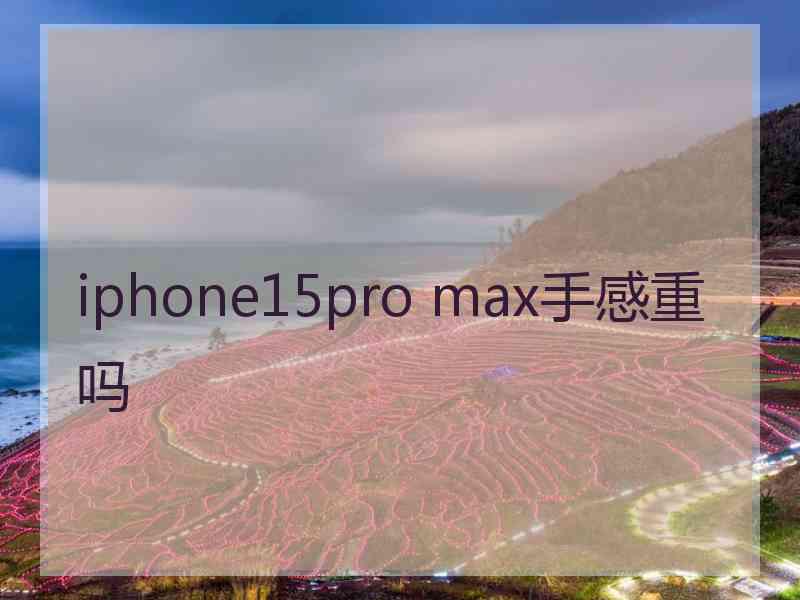 iphone15pro max手感重吗