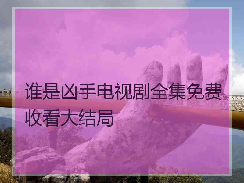 谁是凶手电视剧全集免费收看大结局