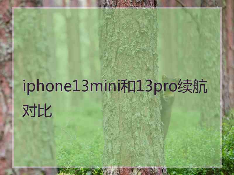 iphone13mini和13pro续航对比