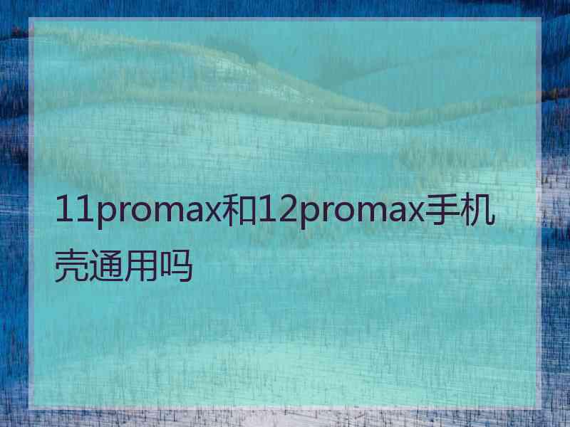 11promax和12promax手机壳通用吗