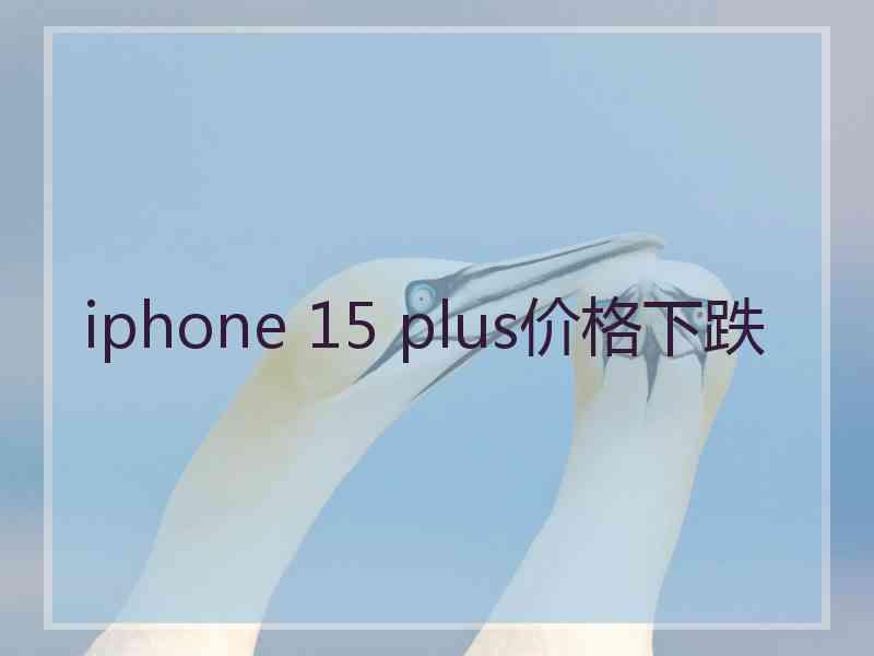 iphone 15 plus价格下跌