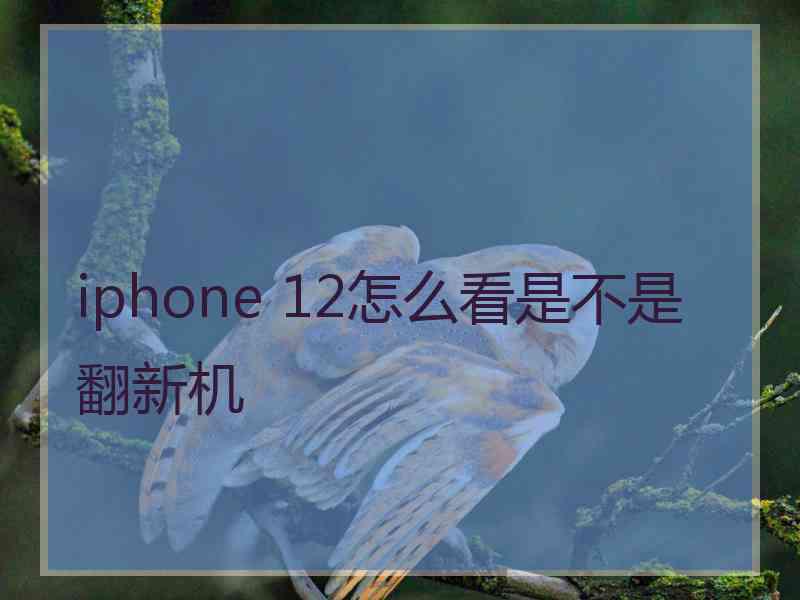 iphone 12怎么看是不是翻新机