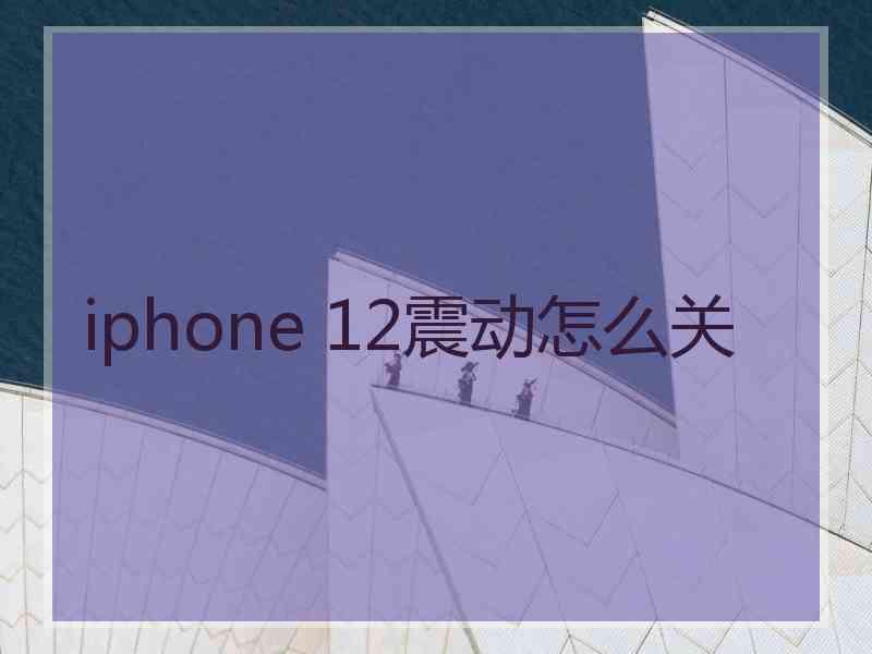 iphone 12震动怎么关