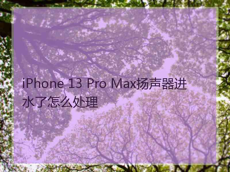 iPhone 13 Pro Max扬声器进水了怎么处理