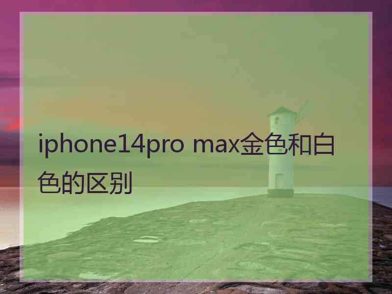 iphone14pro max金色和白色的区别