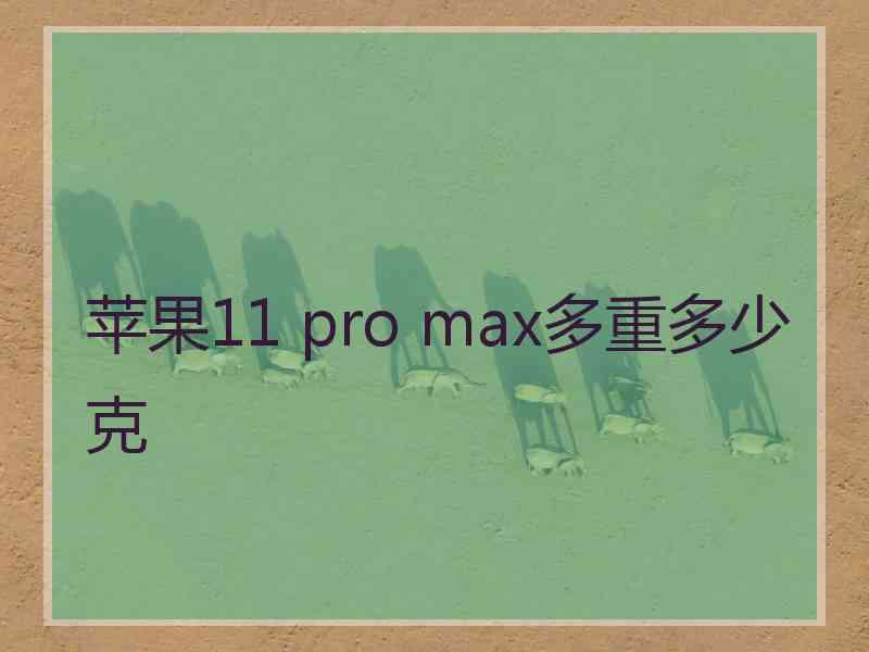 苹果11 pro max多重多少克