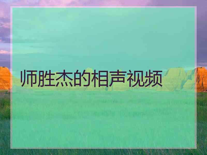 师胜杰的相声视频