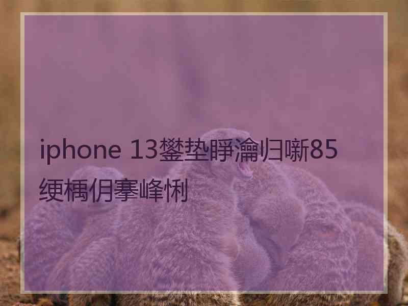 iphone 13鐢垫睜瀹归噺85绠楀仴搴峰悧