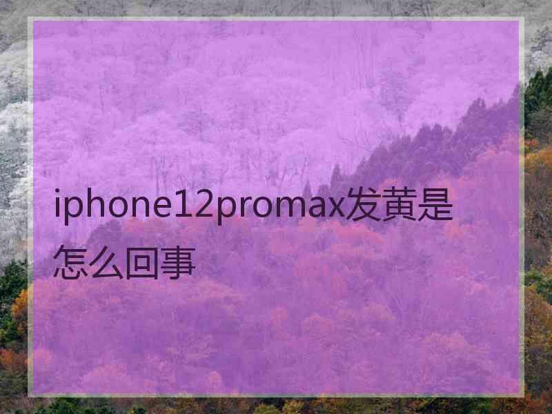 iphone12promax发黄是怎么回事