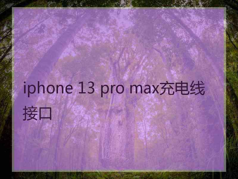 iphone 13 pro max充电线接口