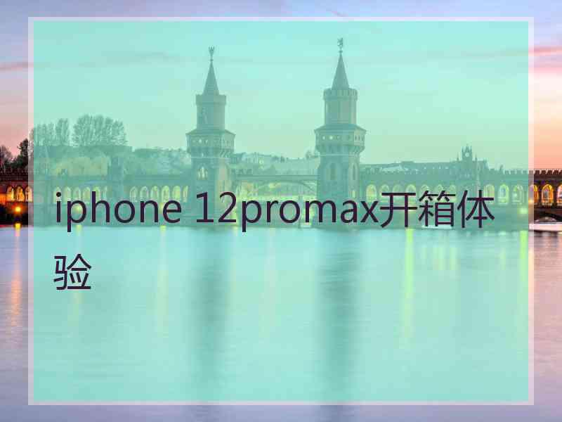 iphone 12promax开箱体验