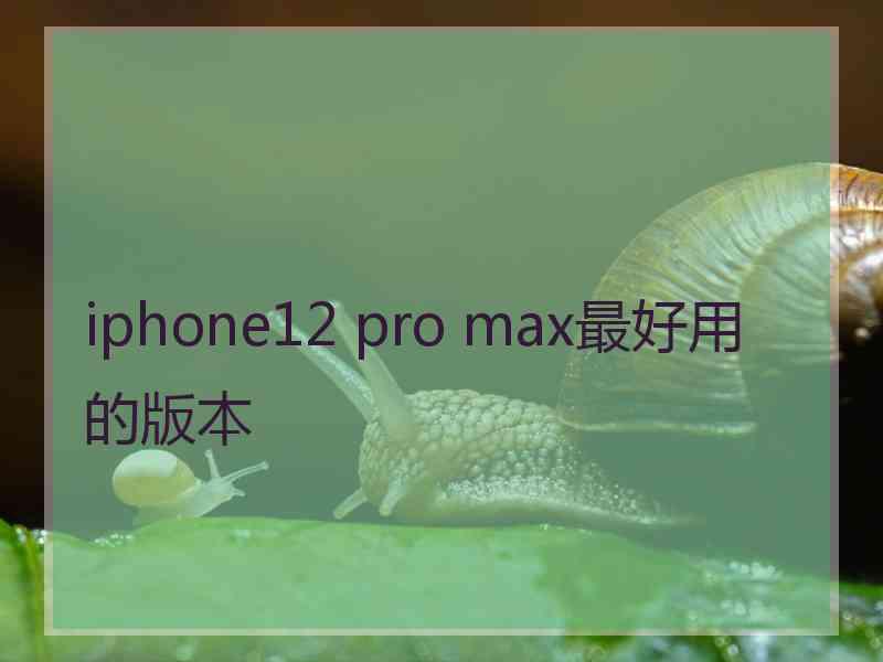 iphone12 pro max最好用的版本