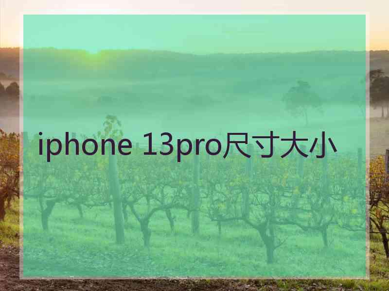 iphone 13pro尺寸大小