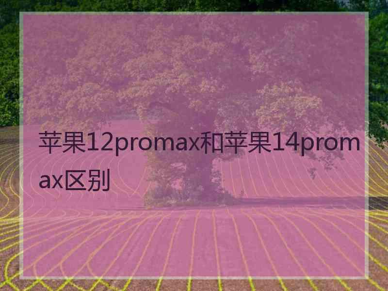 苹果12promax和苹果14promax区别