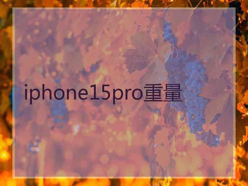 iphone15pro重量