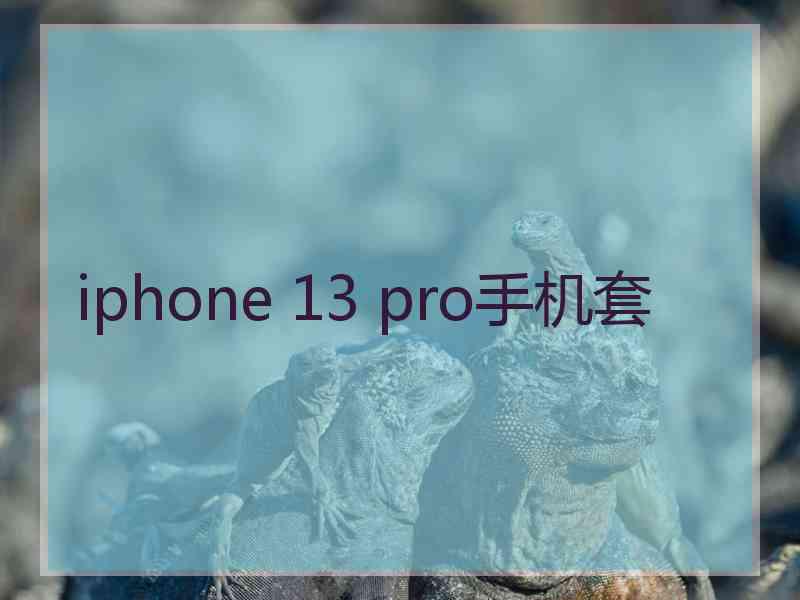 iphone 13 pro手机套