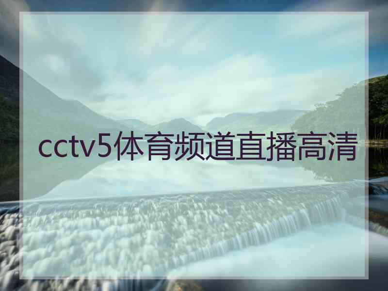 cctv5体育频道直播高清