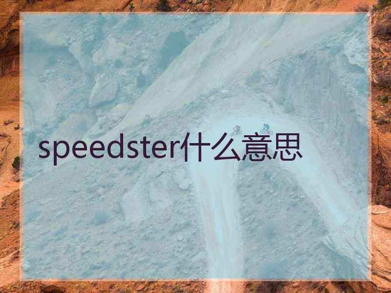 speedster什么意思