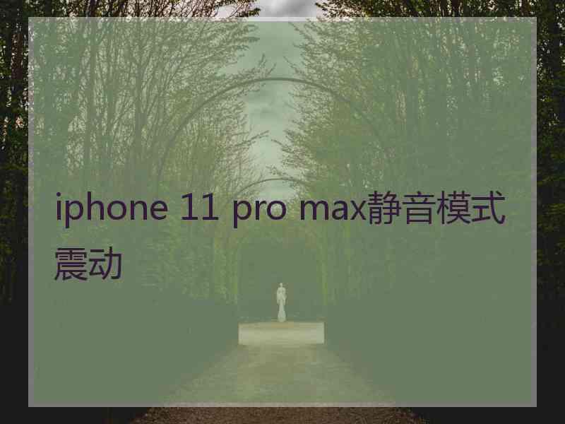 iphone 11 pro max静音模式震动