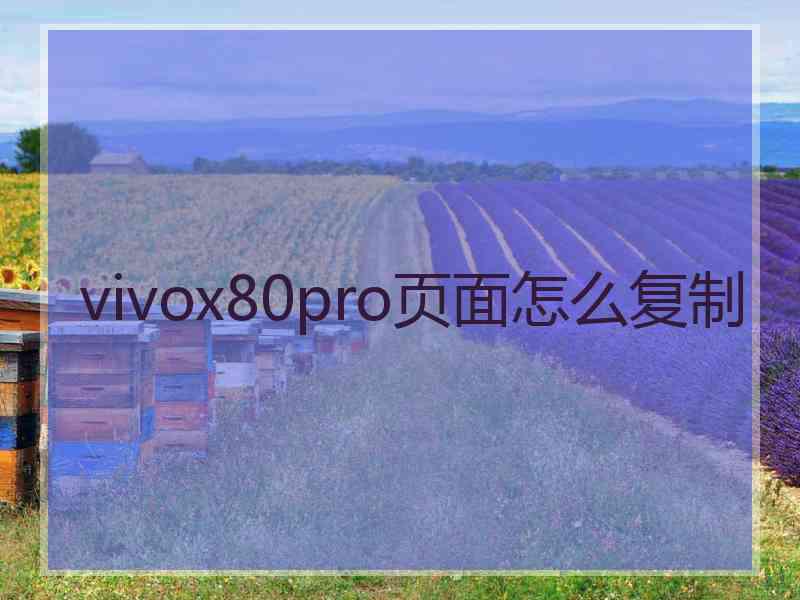 vivox80pro页面怎么复制