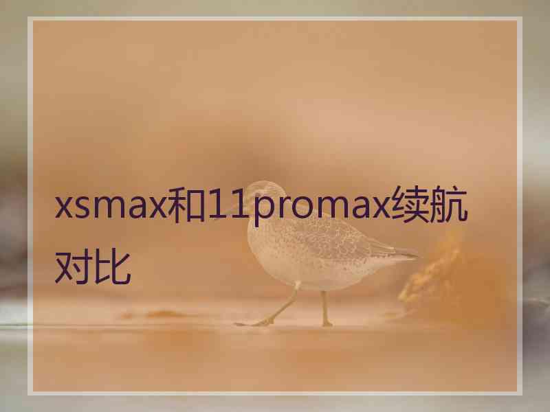 xsmax和11promax续航对比