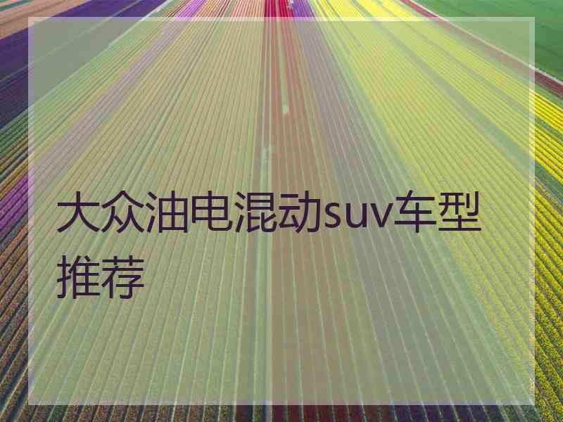 大众油电混动suv车型推荐