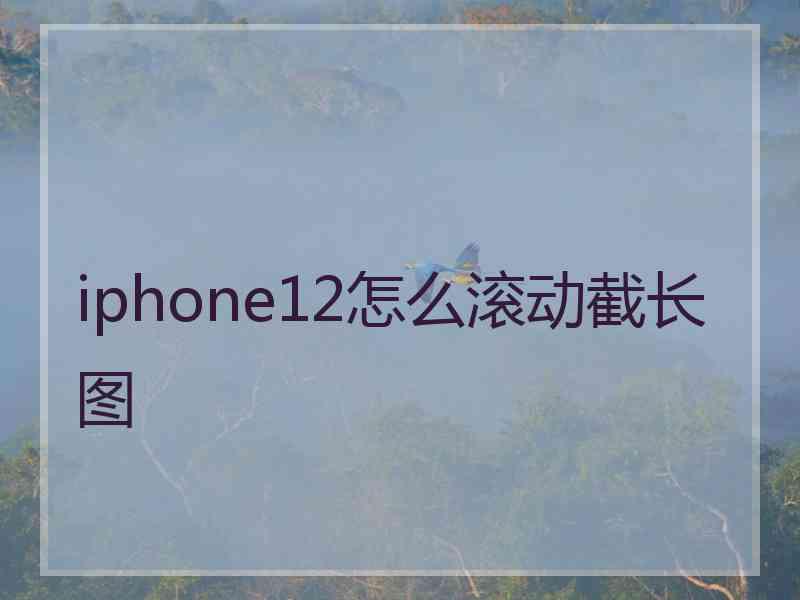 iphone12怎么滚动截长图