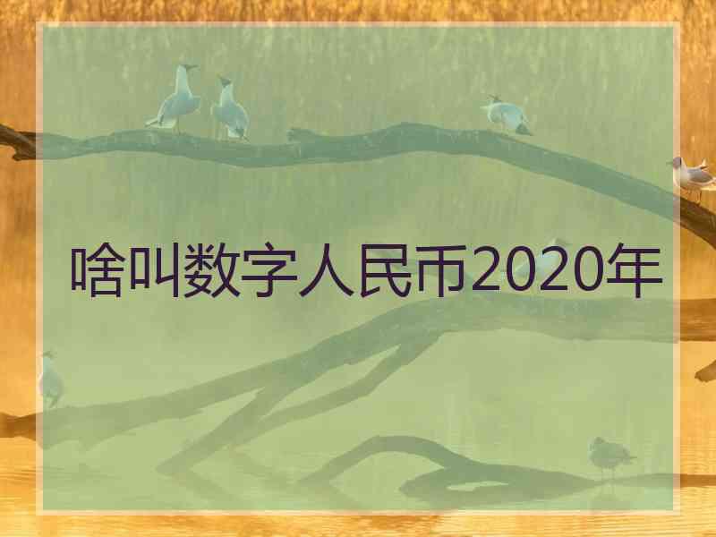 啥叫数字人民币2020年