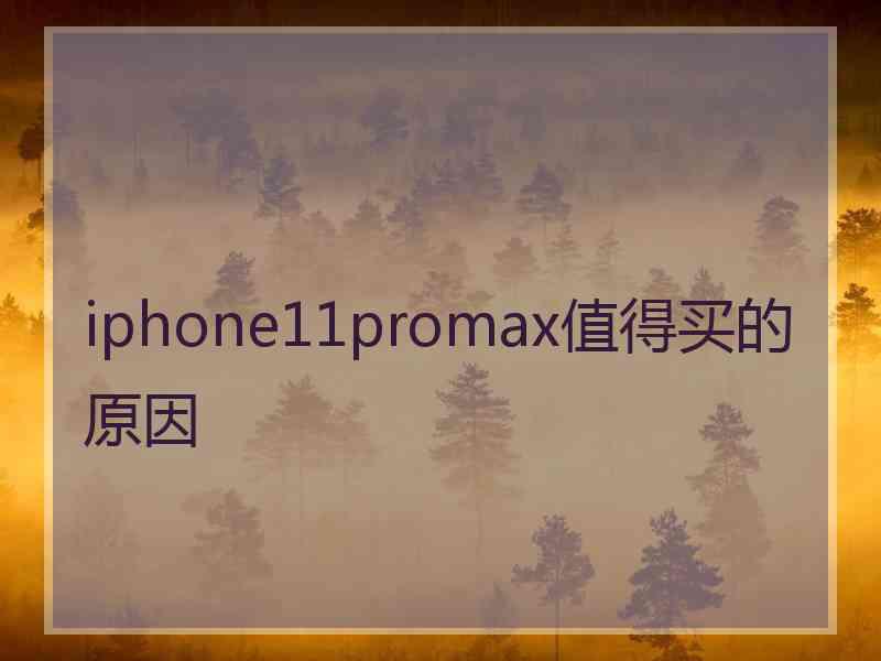 iphone11promax值得买的原因