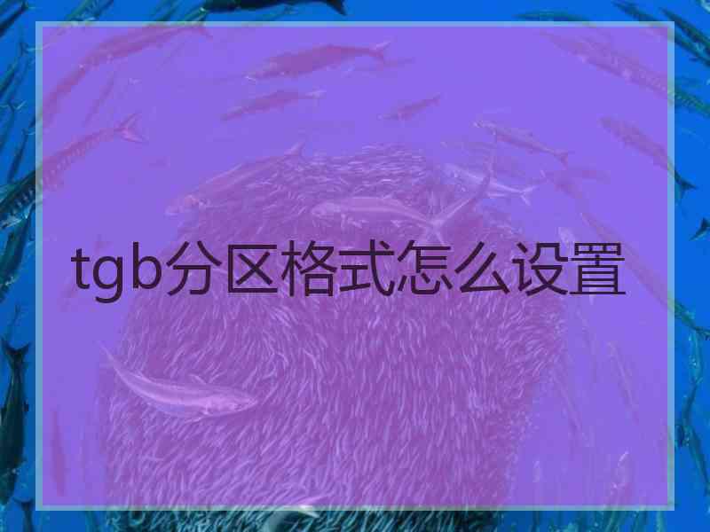 tgb分区格式怎么设置