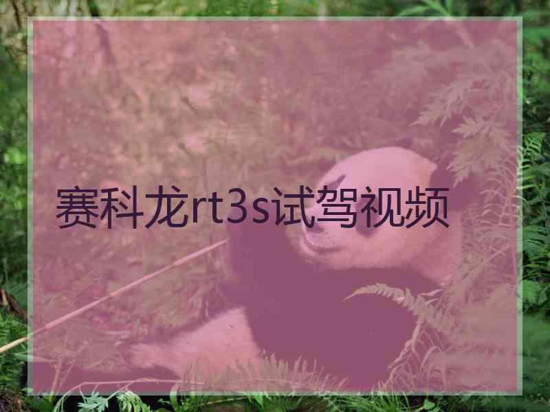 赛科龙rt3s试驾视频