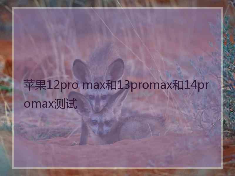 苹果12pro max和13promax和14promax测试