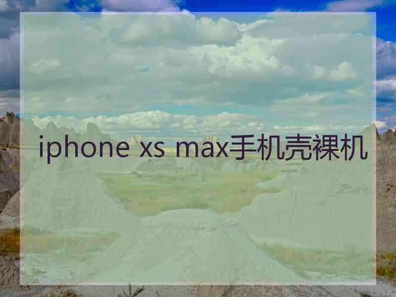 iphone xs max手机壳裸机