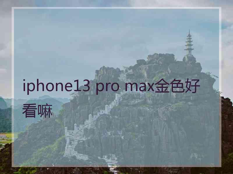 iphone13 pro max金色好看嘛