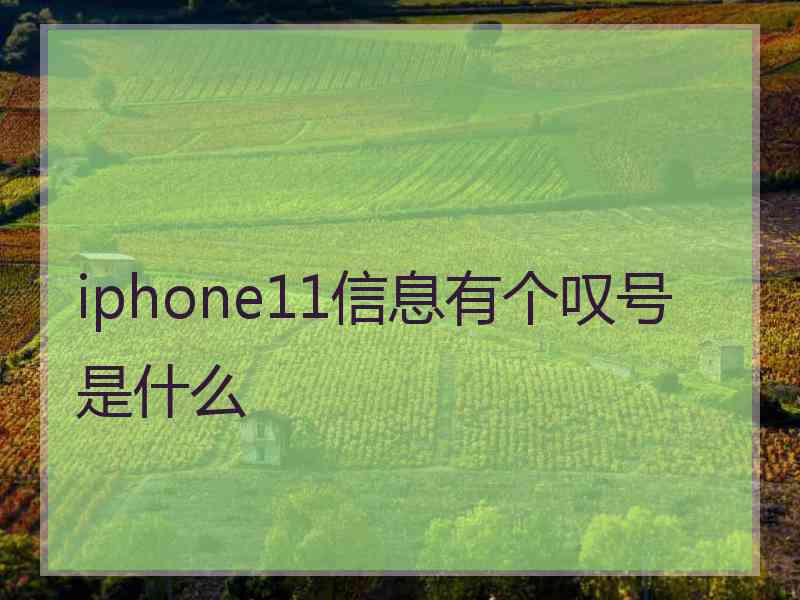 iphone11信息有个叹号是什么