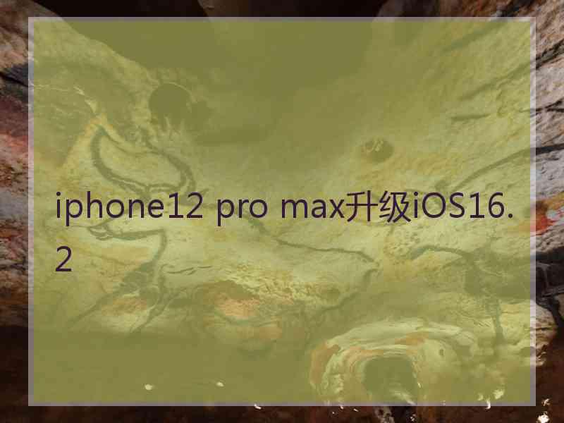 iphone12 pro max升级iOS16.2