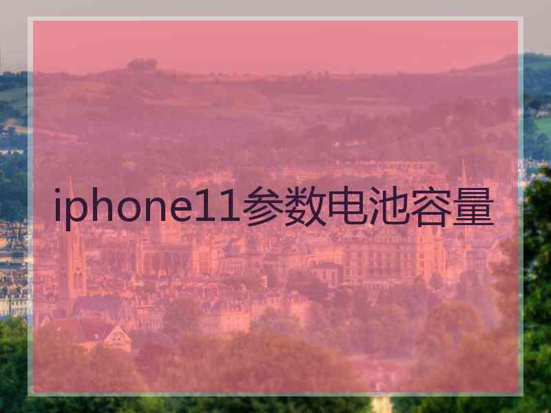 iphone11参数电池容量