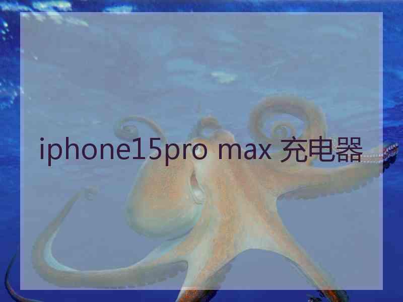 iphone15pro max 充电器